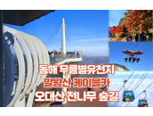 동해 무릉별유천지+발왕산케이블카+오대산1박2일