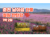 춘천 남이섬 단풍 + 철원 한탄강 절경 1박2…
