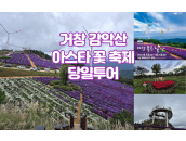 거창 감악산 아스타꽃축제 당일투어