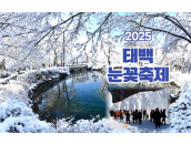 2025태백 눈꽃축제 당일 투어