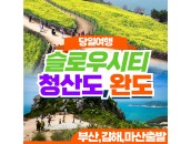 슬로우시티 청산도 완도 당일