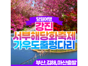 강진 서부 해당화 축제+가우도출렁다리 당일